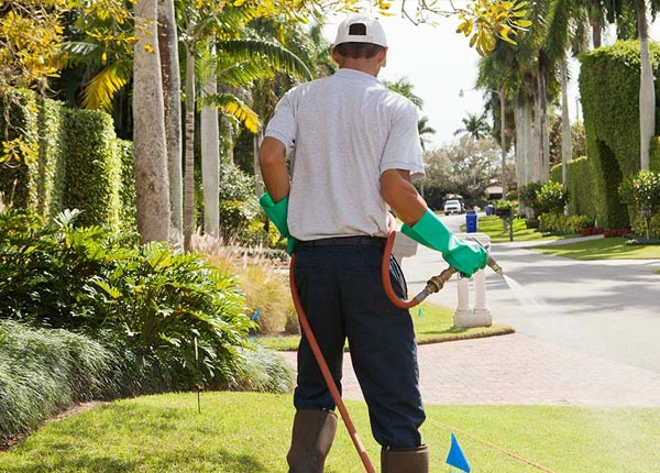About Walnut Bottom PA Pest Control Pros
